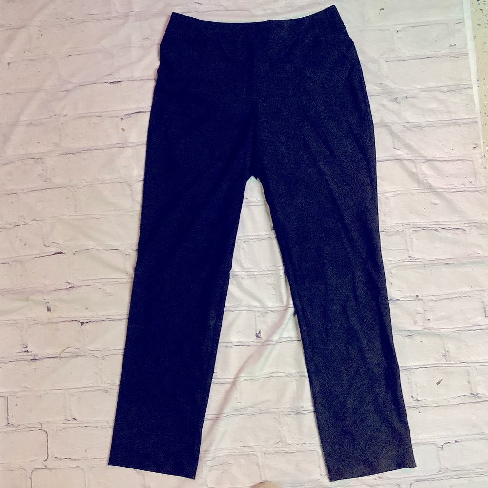 THE LIMITED PANTS PANTS PANTS. SIZE 10